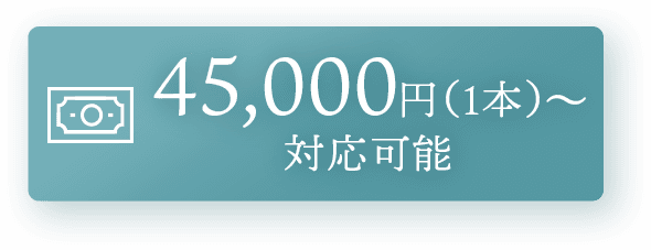 45,000円(1本)〜対応可能